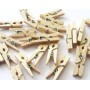 MINI MOLLETTA IN LEGNO CM. 2,5 PZ.100