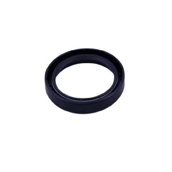 GUARNIZIONI TENUTA SERBATIOIO ACQUA Taski 250 + Numatic 244 PZ.1