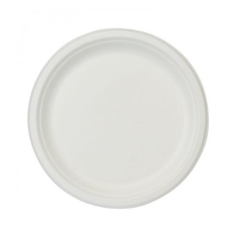 PIATTO TONDO BIANCO IN POLPA D22 (ct.10) PZ.50