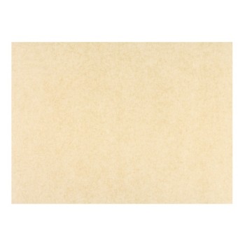 CARTA ANTIGRASSO AVANA T/UNITA CM.12,5x20 (ct.12) PZ.500