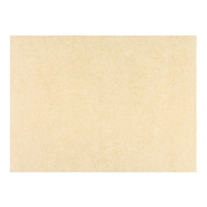 CARTA ANTIGRASSO AVANA T/UNITA CM.12,5x20 (ct.12) PZ.500