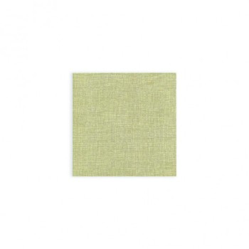 TOVAGLIOLO AIRLAID 40X40 FABRIC VERDE (ct.16) PZ.50