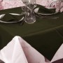 Tovaglia Monouso TNT 150x150 cm – Verde – Coprimacchia