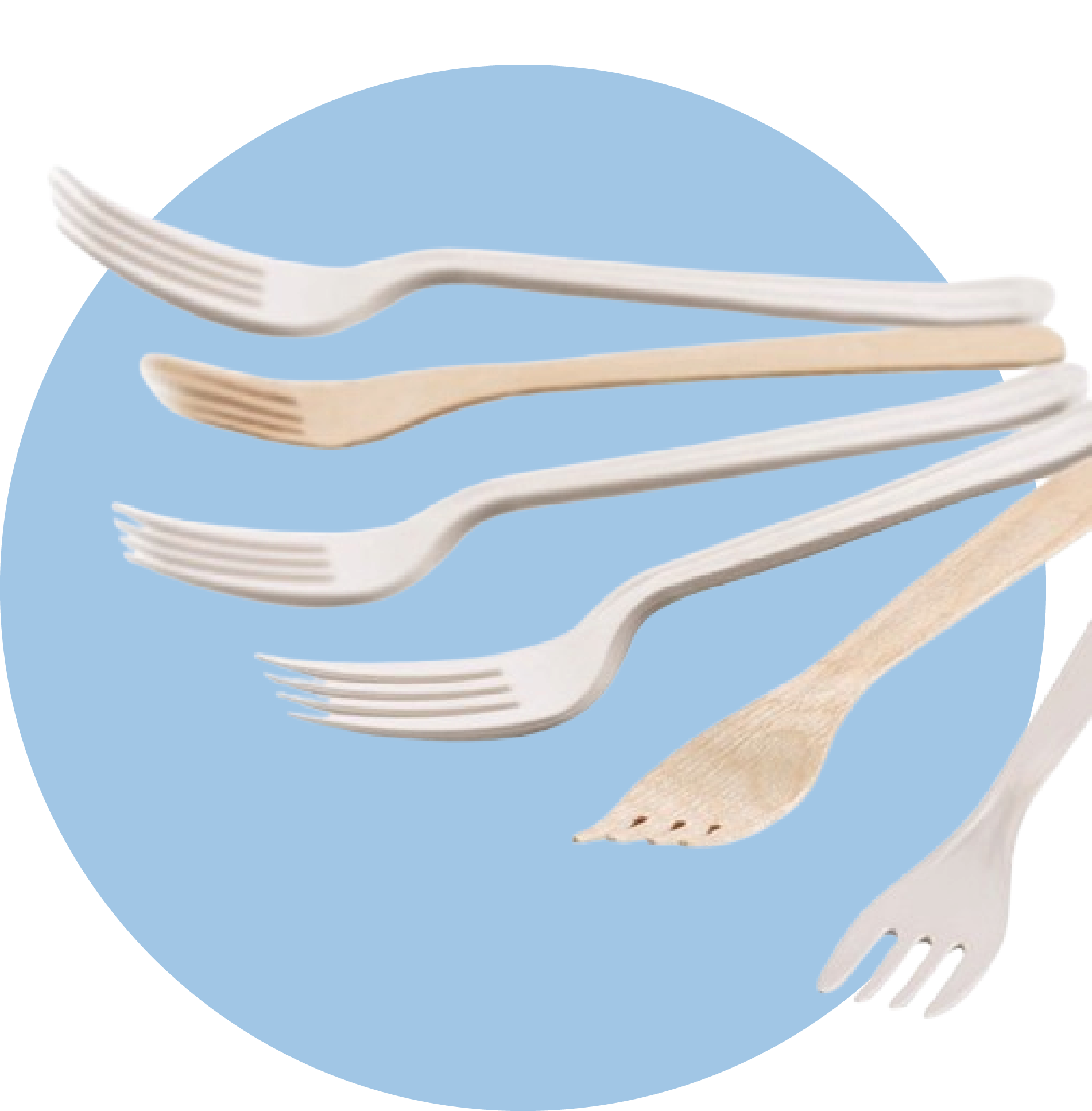 1000 Cucchiaini Per Gelato Compostabili - Imbustati Singolarmente, 9.5cm | Ecologici E Riutilizzabili Per Eventi - Foto 3